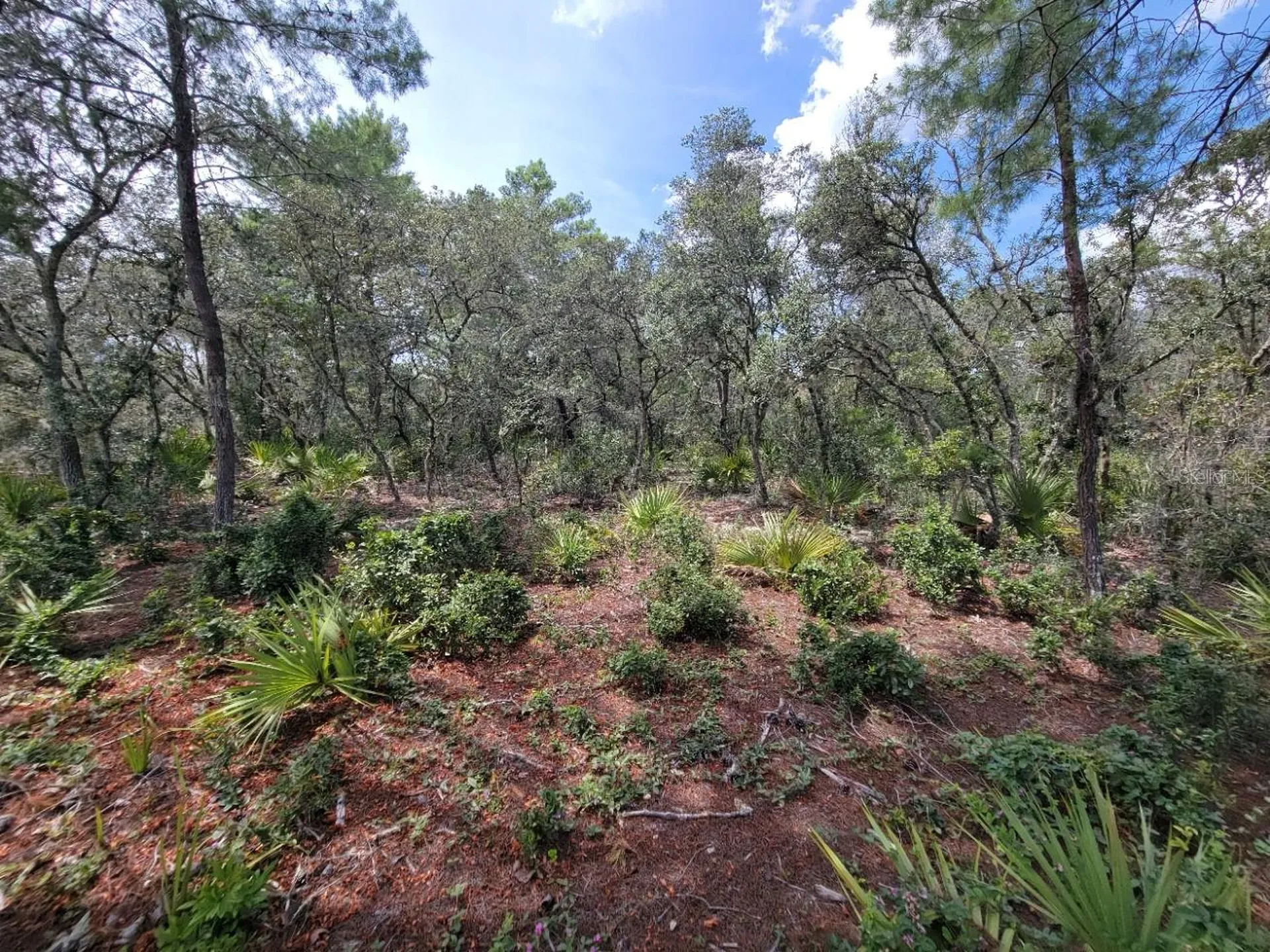Corner Of Oak And Cypress Road Ocala FL 34472