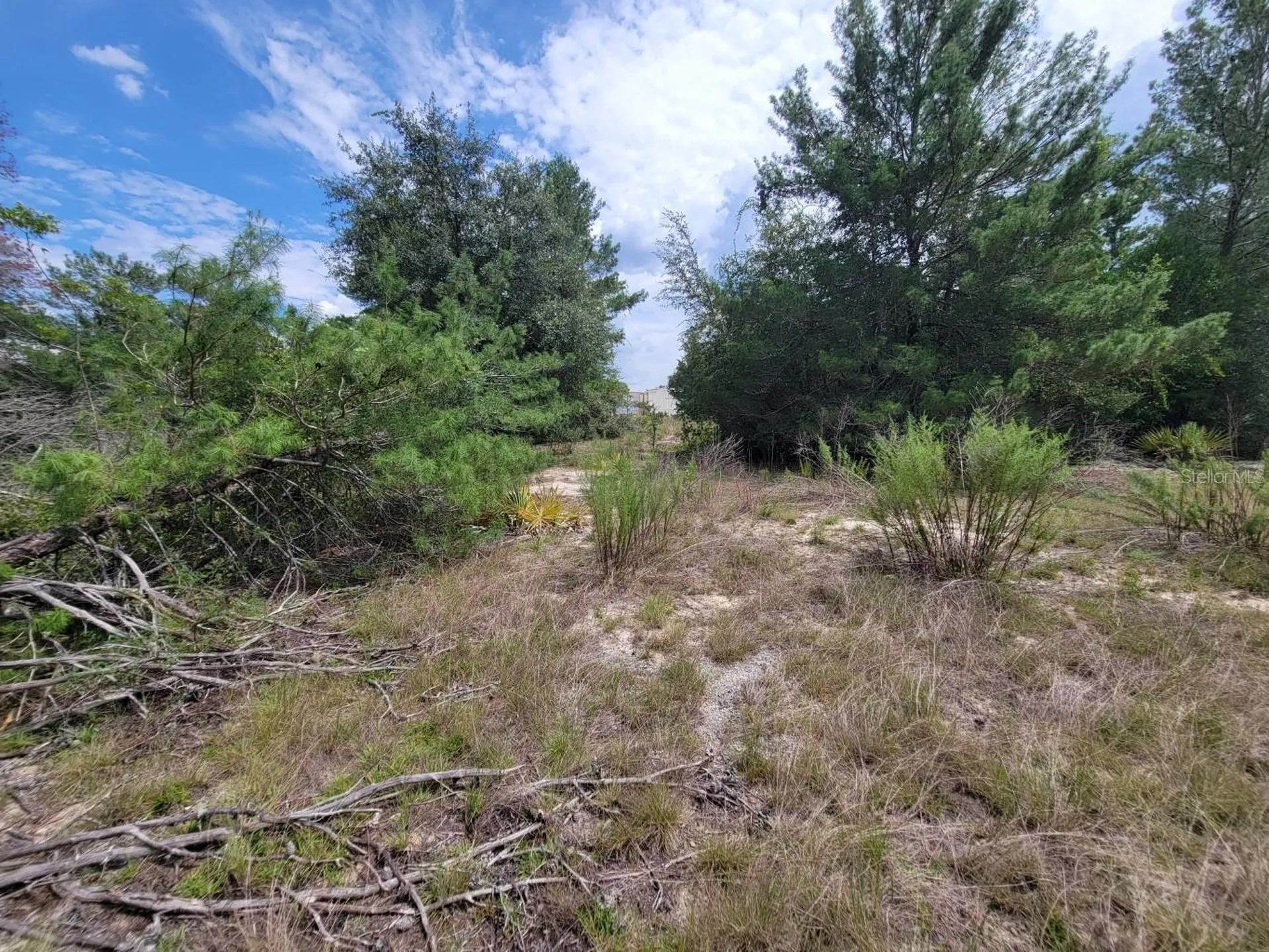 Corner Of Oak And Cypress Road Ocala FL 34472