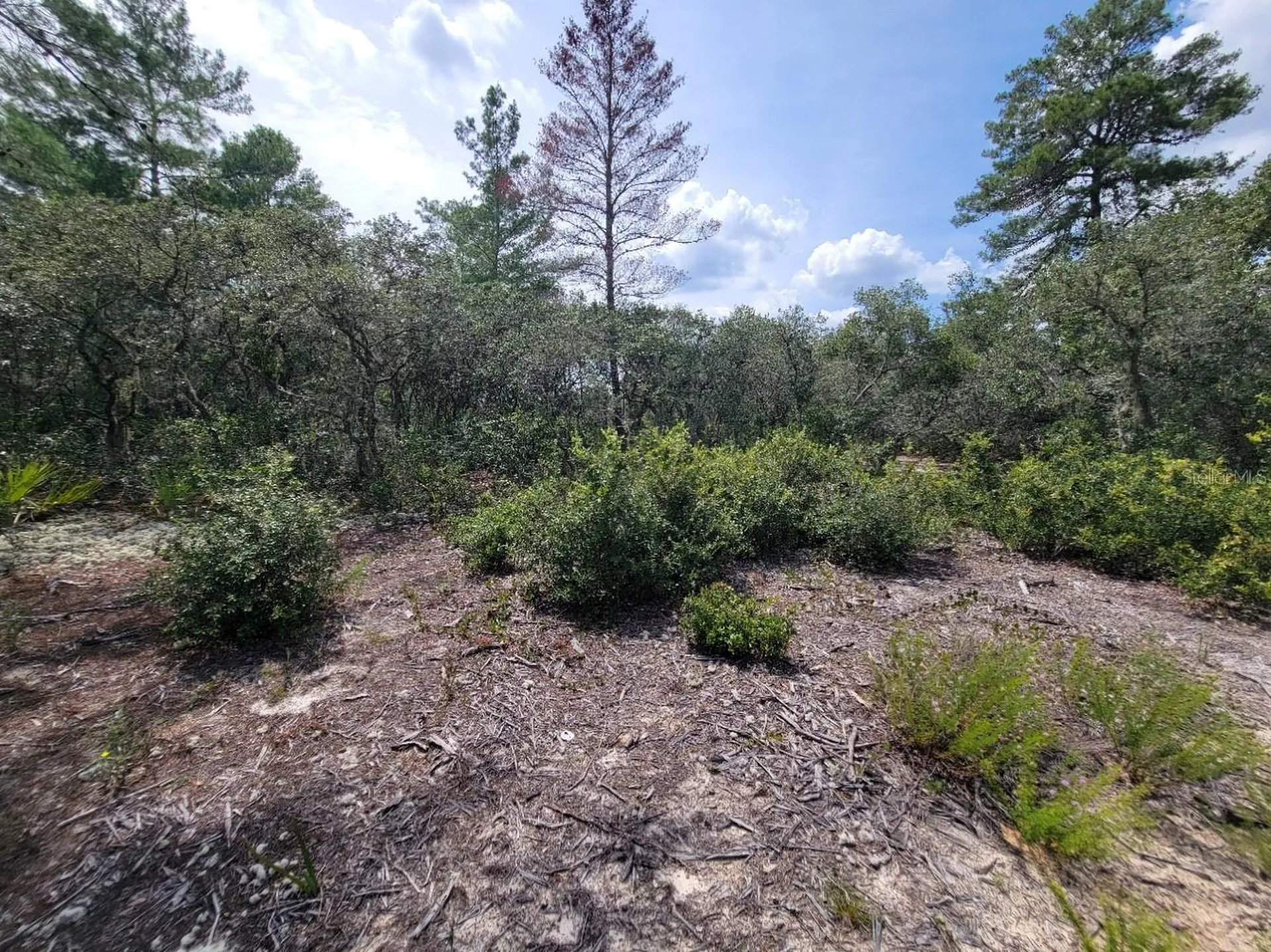 Corner Of Oak And Cypress Road Ocala FL 34472