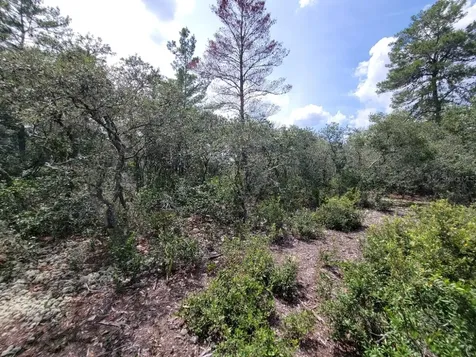 Corner Of Oak And Cypress Road Ocala FL 34472