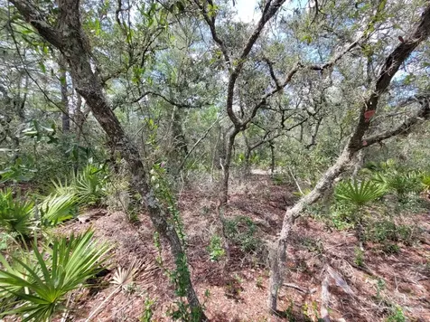 Corner Of Oak And Cypress Road Ocala FL 34472