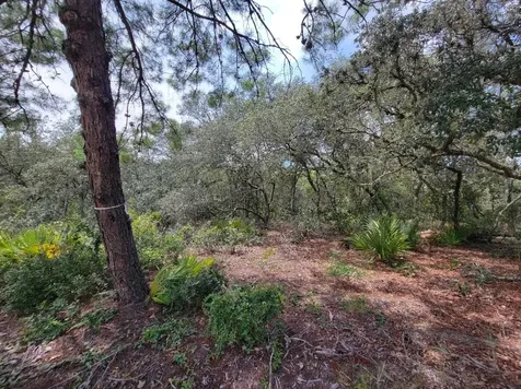 Corner Of Oak And Cypress Road Ocala FL 34472