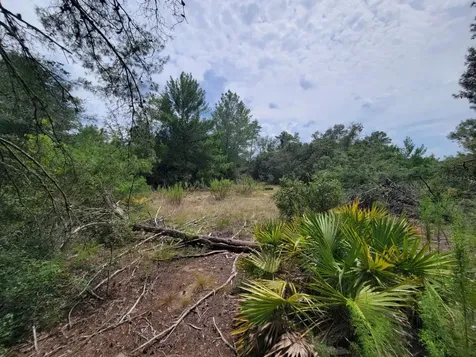 Corner Of Oak And Cypress Road Ocala FL 34472