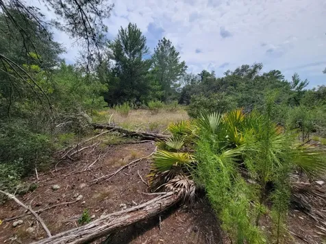 Corner Of Oak And Cypress Road Ocala FL 34472