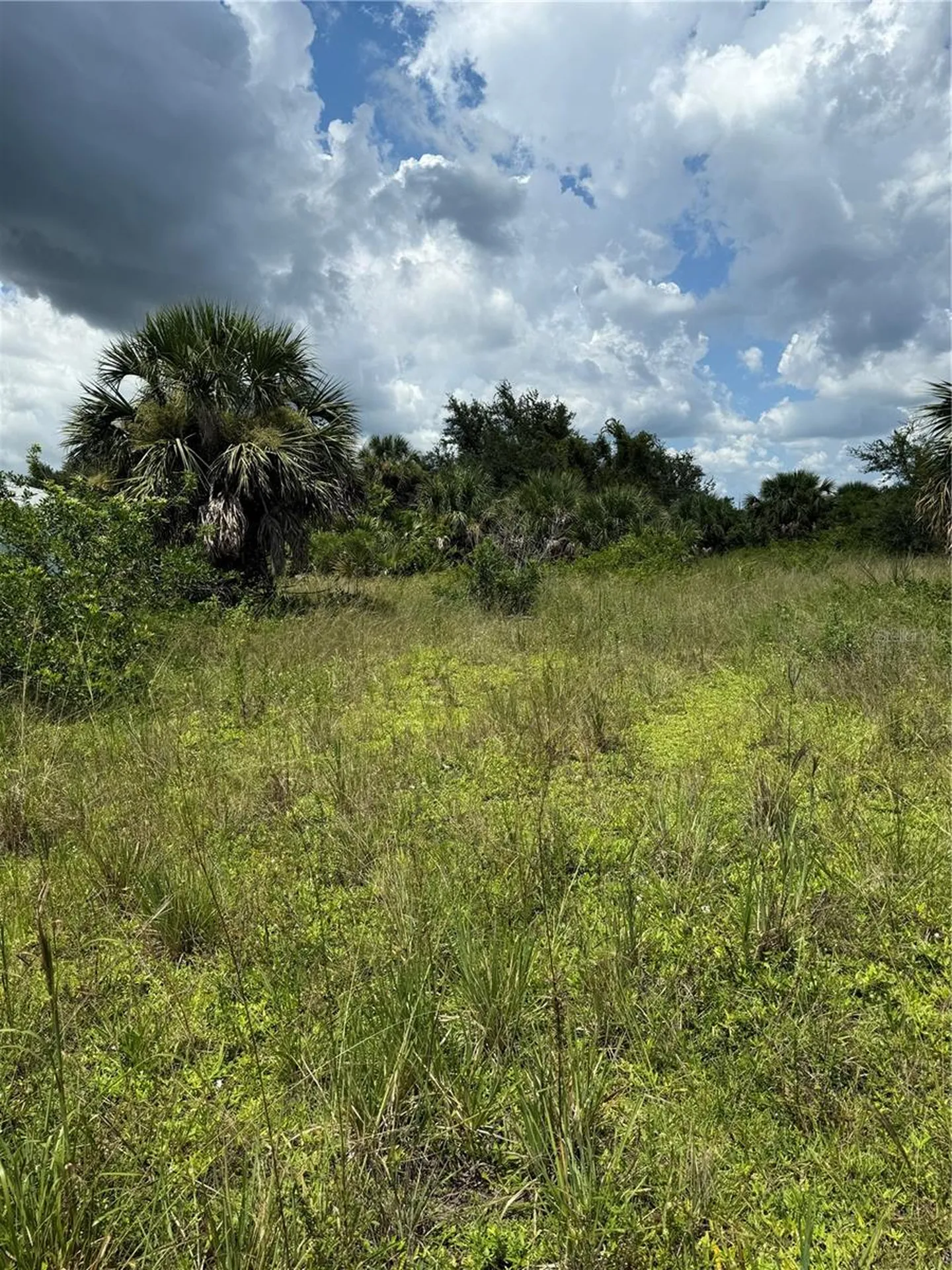 14194 And 14202 Barnwood Lane Port Charlotte FL 33981