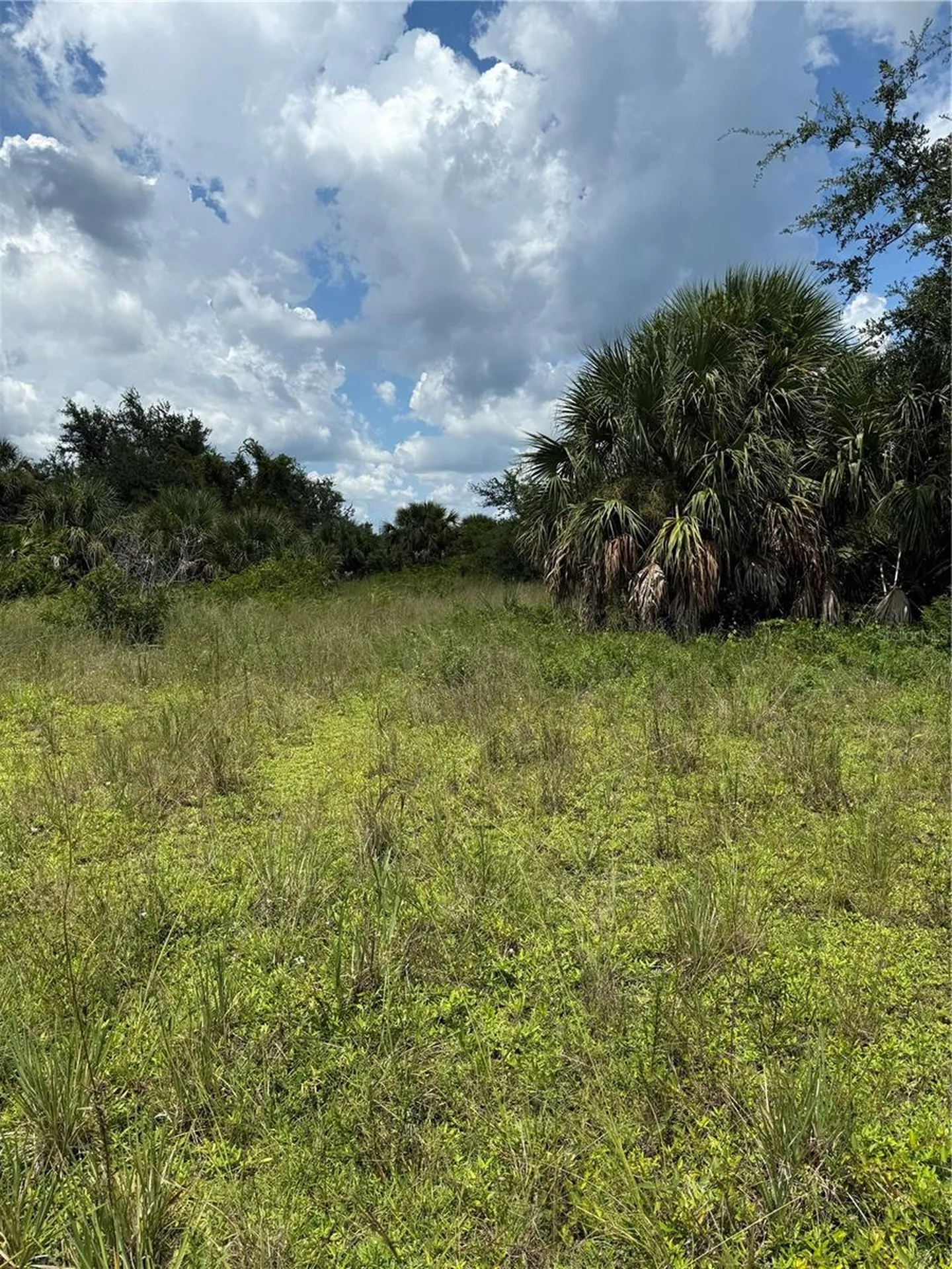 14194 And 14202 Barnwood Lane Port Charlotte FL 33981