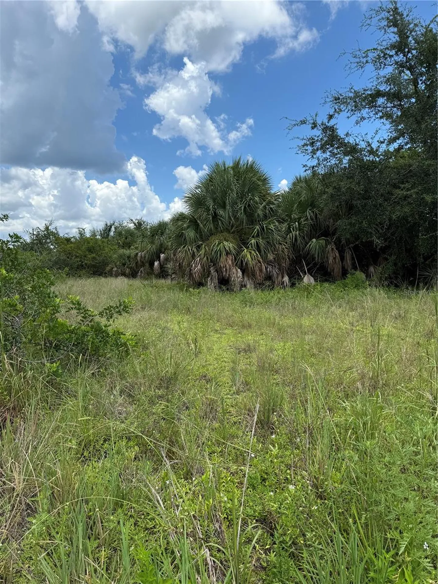 14194 And 14202 Barnwood Lane Port Charlotte FL 33981