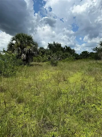 14194 And 14202 Barnwood Lane Port Charlotte FL 33981