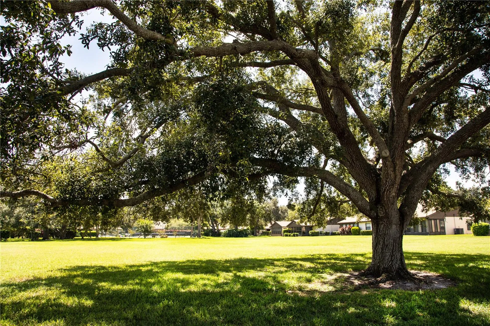 4703 Oak Hill Drive Sarasota FL 34232