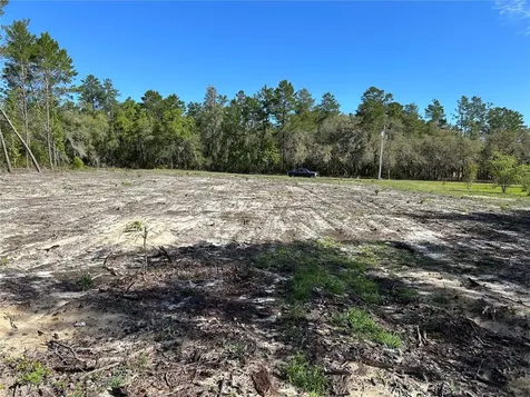 4298 SW 179 Place Ocala FL 34473