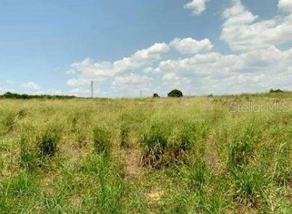 Davis Brothers Road Frostproof FL 33843