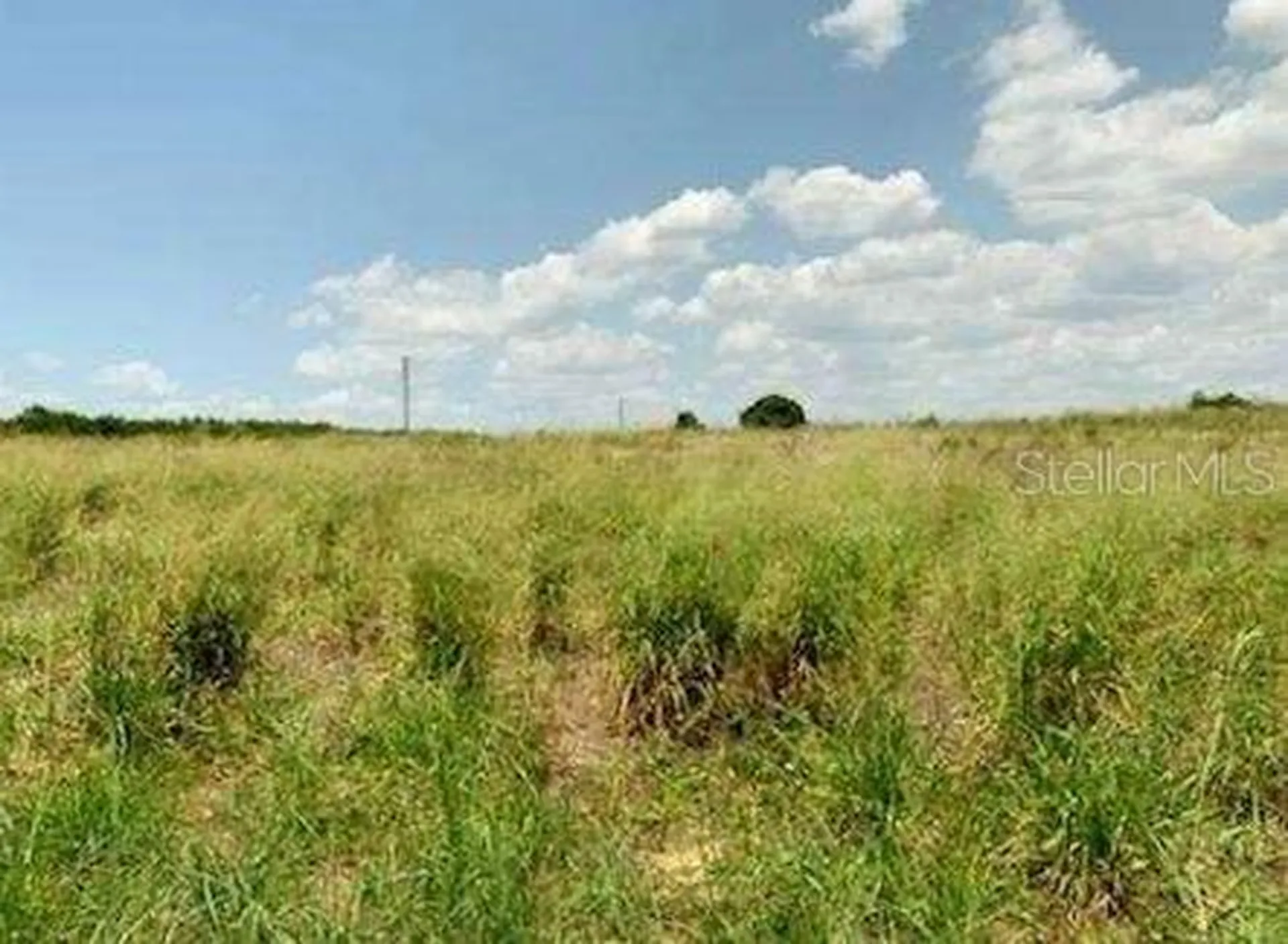 Davis Brothers Road Frostproof FL 33843