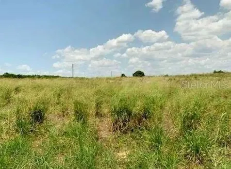 Davis Brothers Road Frostproof FL 33843