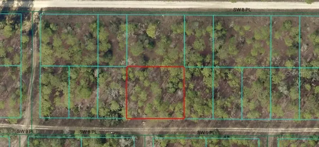 SW 9 Place Ocala FL 34481