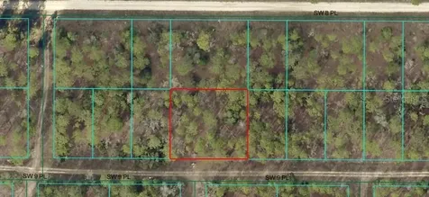SW 9 Place Ocala FL 34481