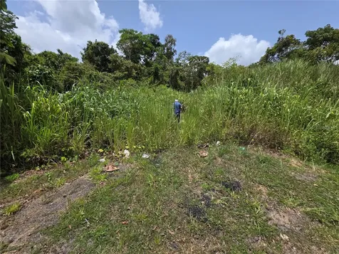 CARR-137 Morovis PR 00687
