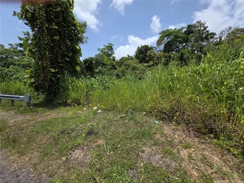CARR-137 Morovis PR 00687