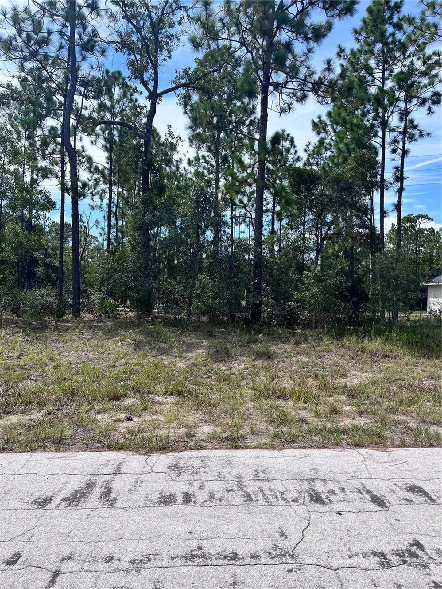 2910 W Rutland Drive Citrus Springs FL 34433
