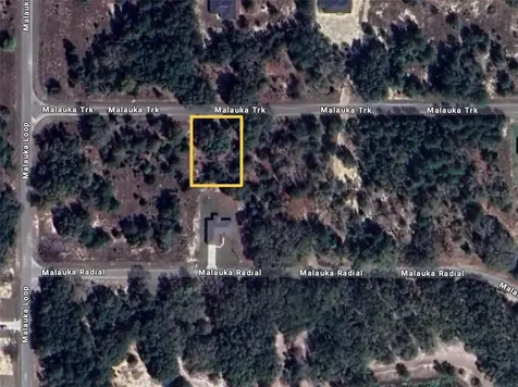 Malauka Track Ocklawaha FL 32179