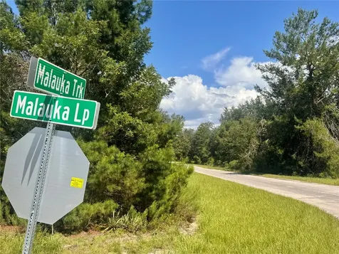 Malauka Track Ocklawaha FL 32179