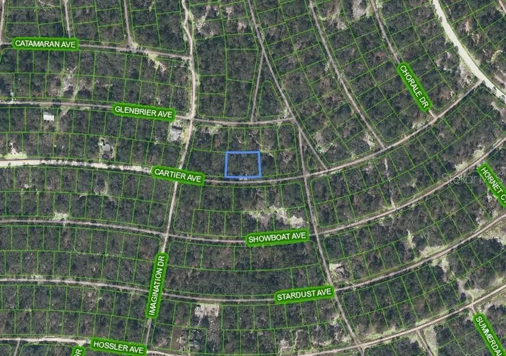 354 Cartier Avenue Lake Placid FL 33852
