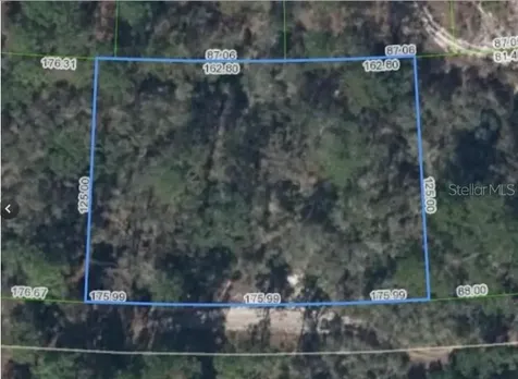 354 Cartier Avenue Lake Placid FL 33852