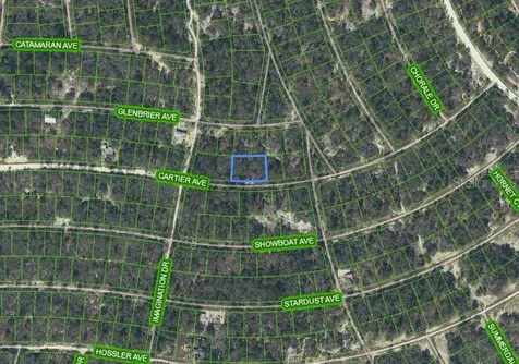 354 Cartier Avenue Lake Placid FL 33852