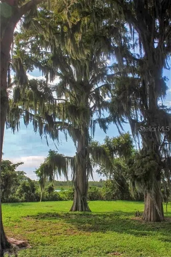 0 Jennings Fish Camp Road Lake Wales FL 33898