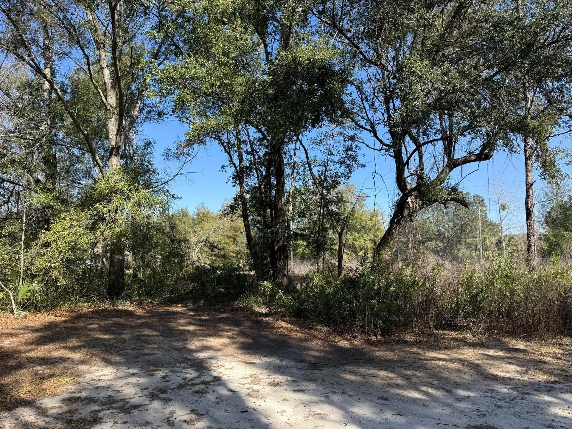 5325 NW 7th Street Ocala FL 34482