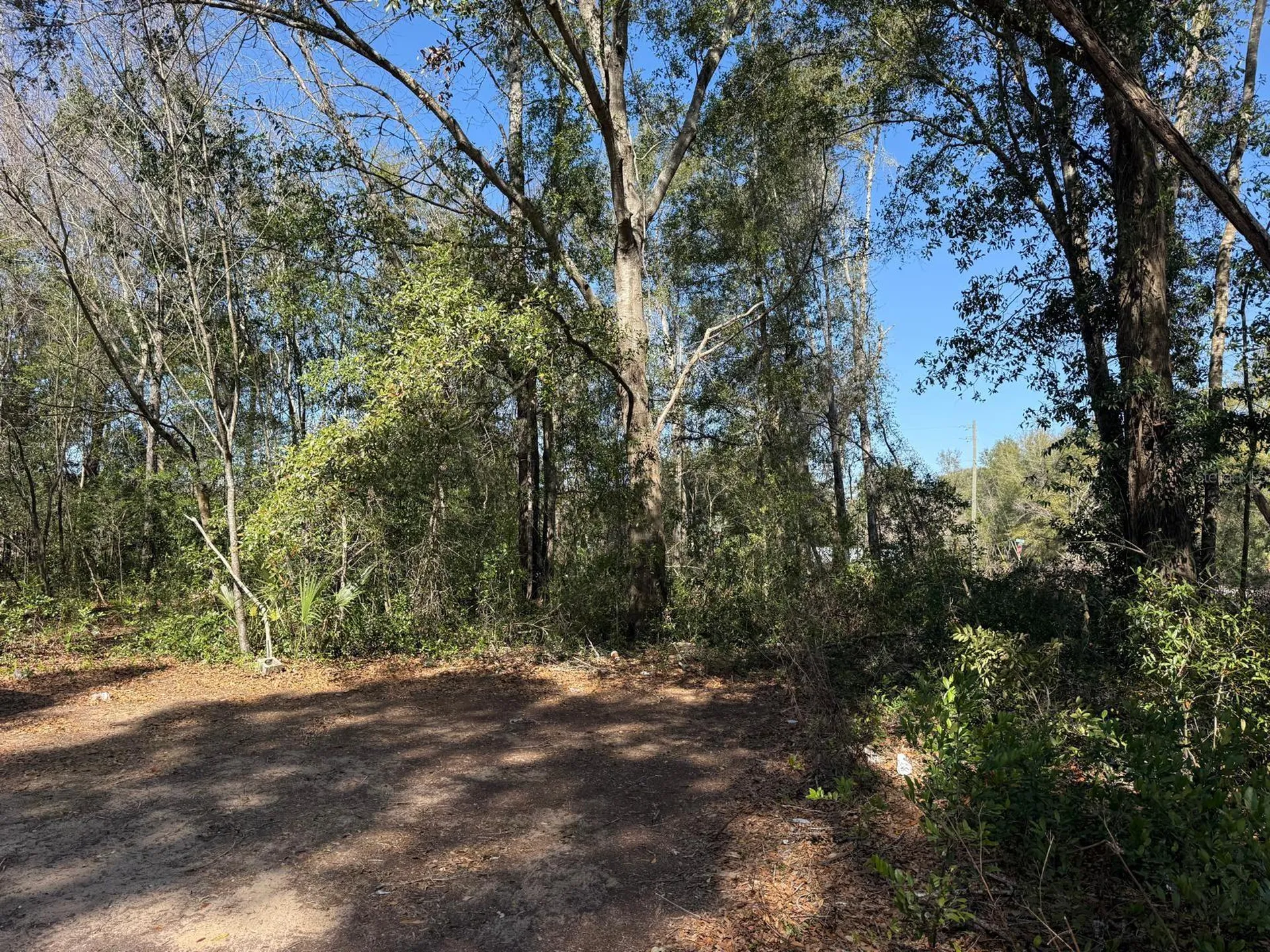 5325 NW 7th Street Ocala FL 34482