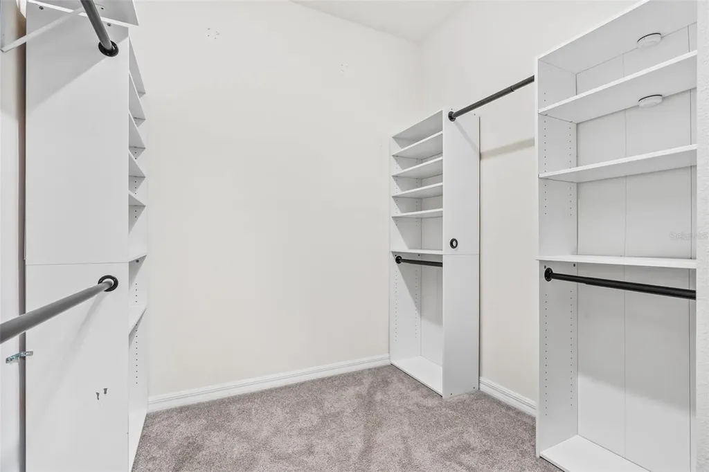 33471 Hamilton Hill Lane Wesley Chapel FL 33545