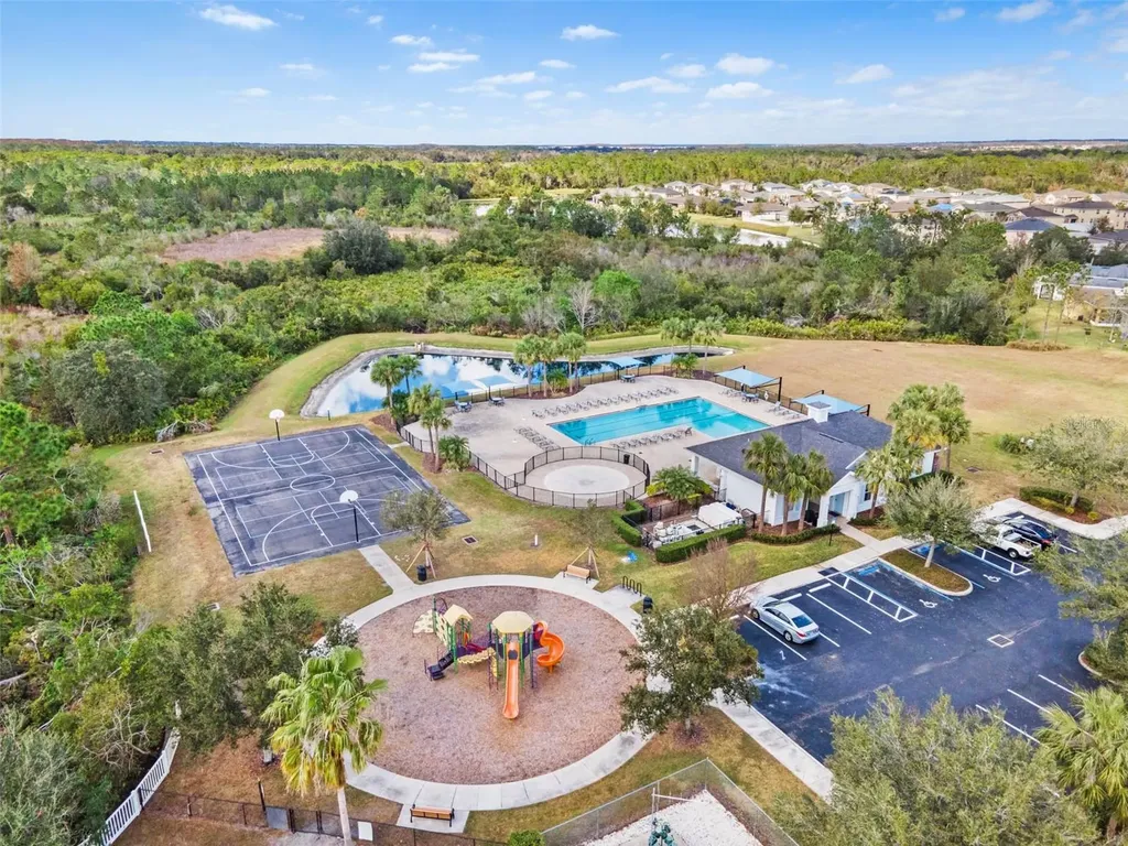 33471 Hamilton Hill Lane Wesley Chapel FL 33545