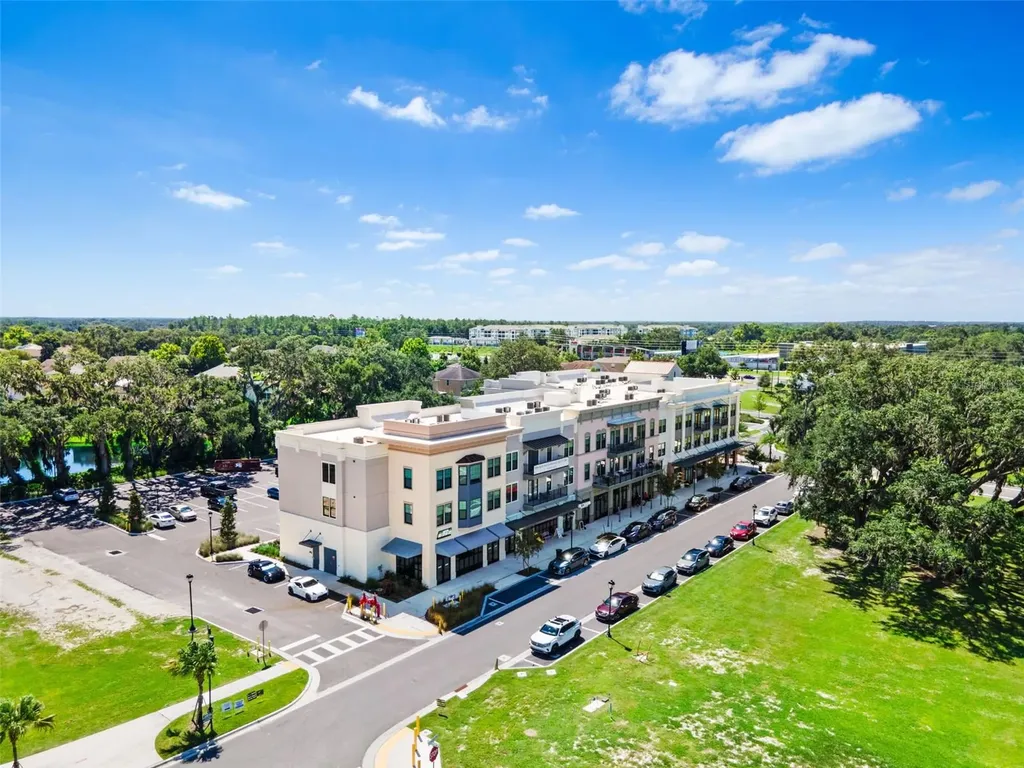33471 Hamilton Hill Lane Wesley Chapel FL 33545