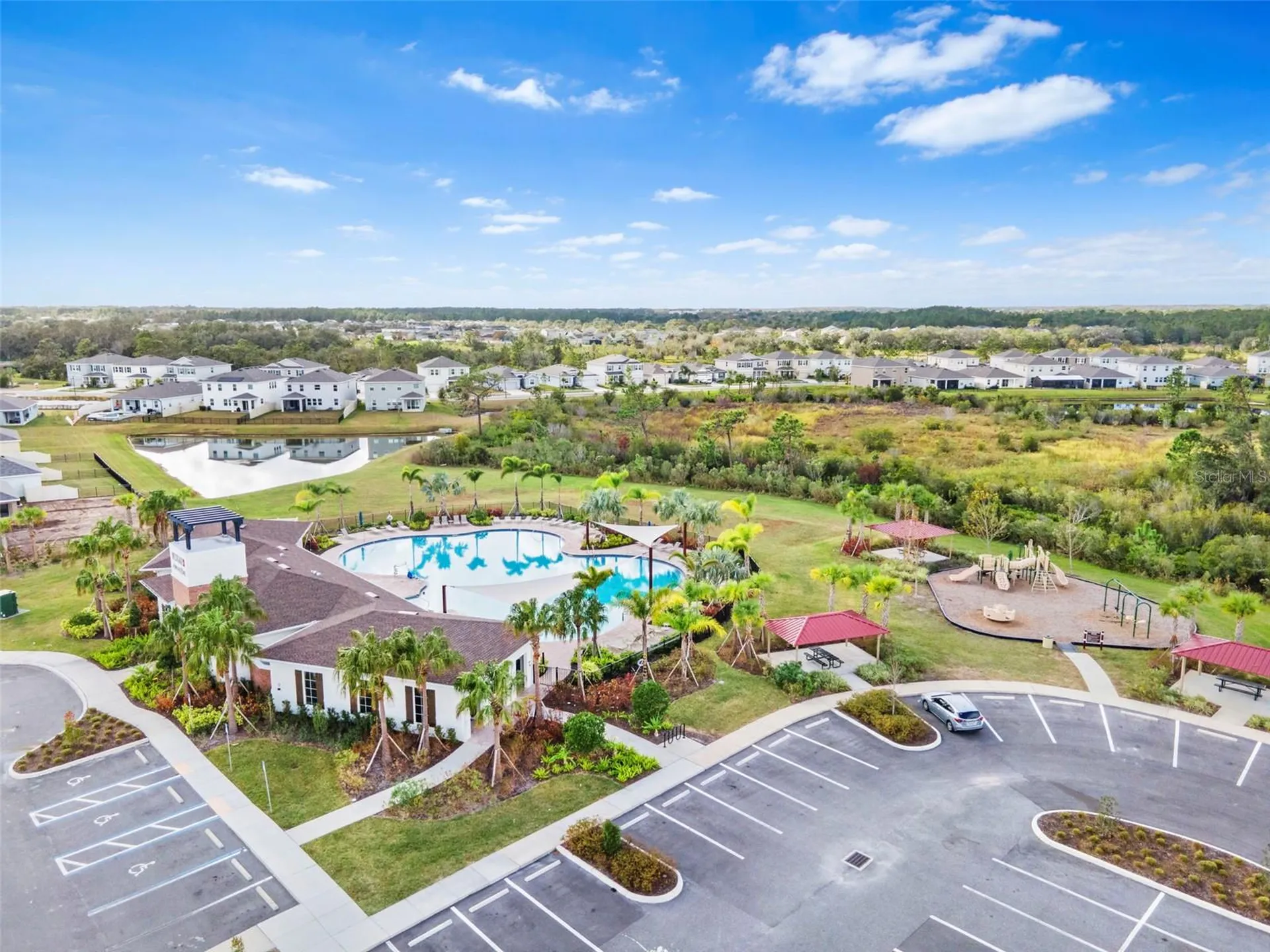 33471 Hamilton Hill Lane Wesley Chapel FL 33545