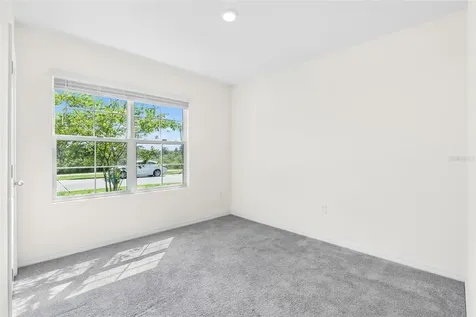 33471 Hamilton Hill Lane Wesley Chapel FL 33545