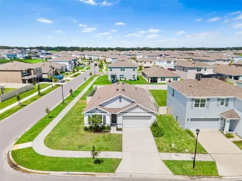 33471 Hamilton Hill Lane Wesley Chapel FL 33545