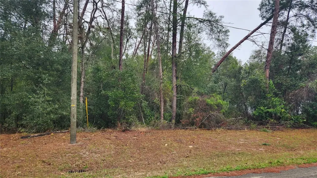 Locust Course Radial Ocala FL 34472