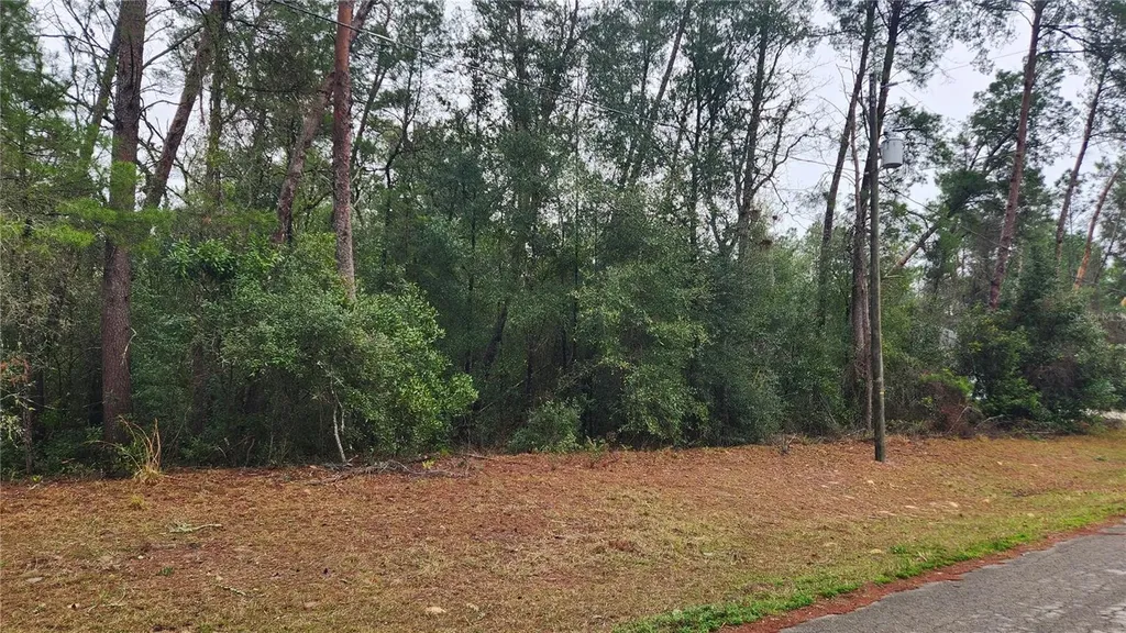 Locust Course Radial Ocala FL 34472