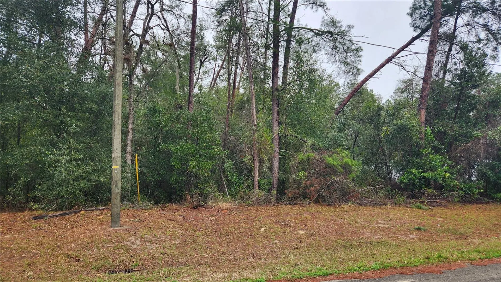 Locust Course Radial Ocala FL 34472