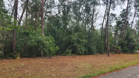 Locust Course Radial Ocala FL 34472