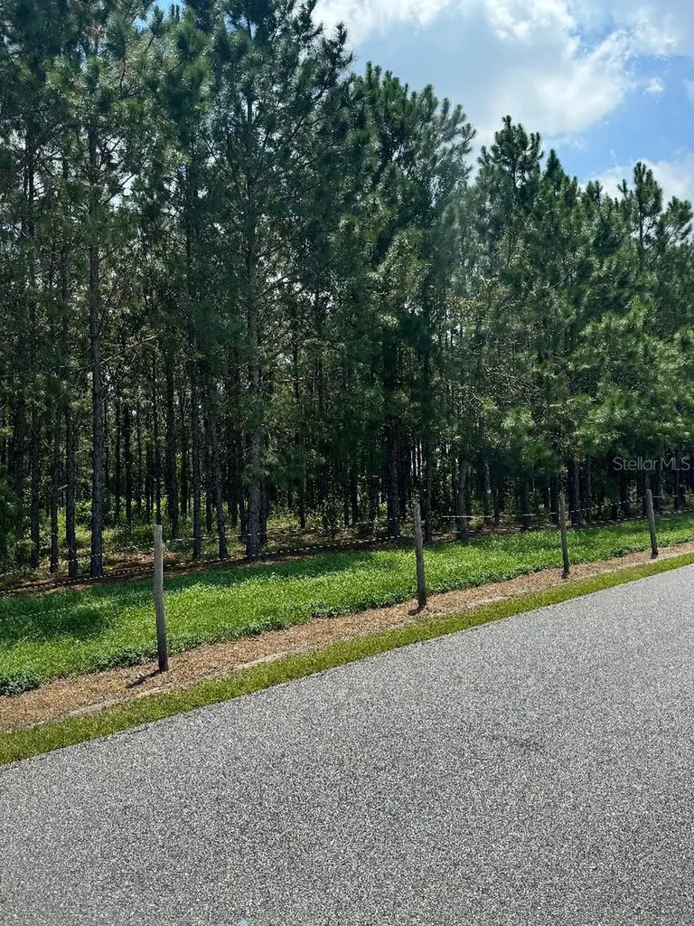 Cr 227 Road Oxford FL 34484