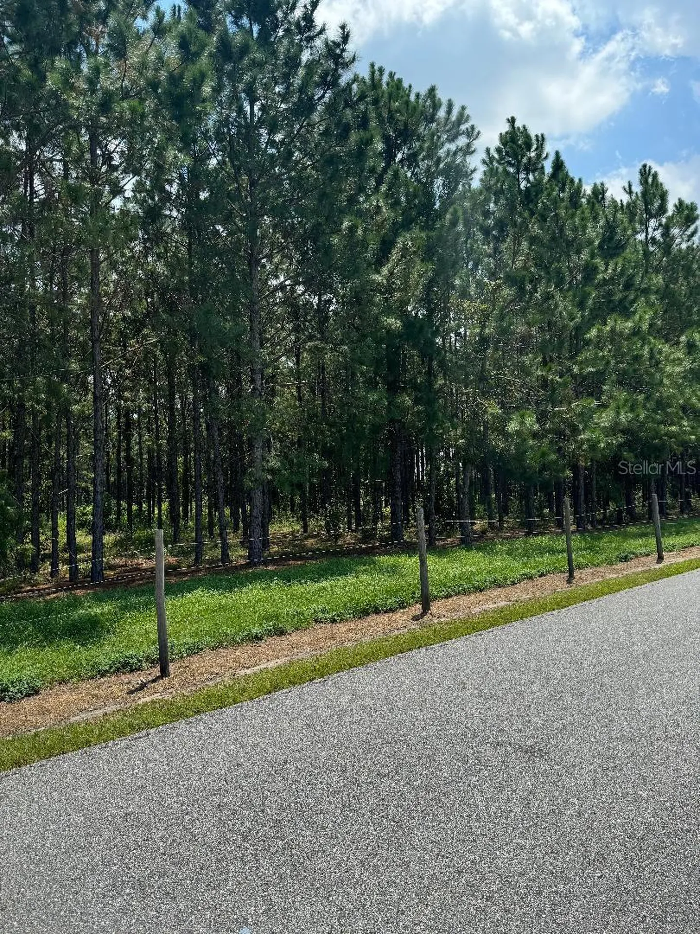 Cr 227 Road Oxford FL 34484