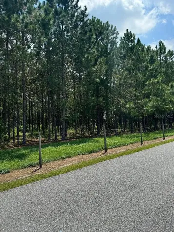 Cr 227 Road Oxford FL 34484