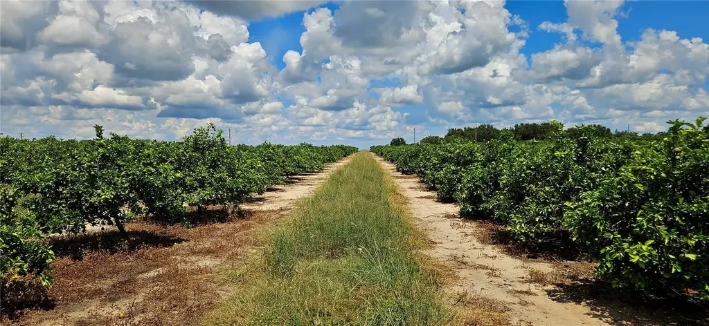 Lake Wales FL 33898