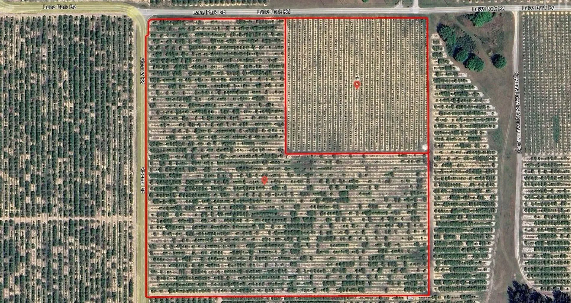 Lake Wales FL 33898