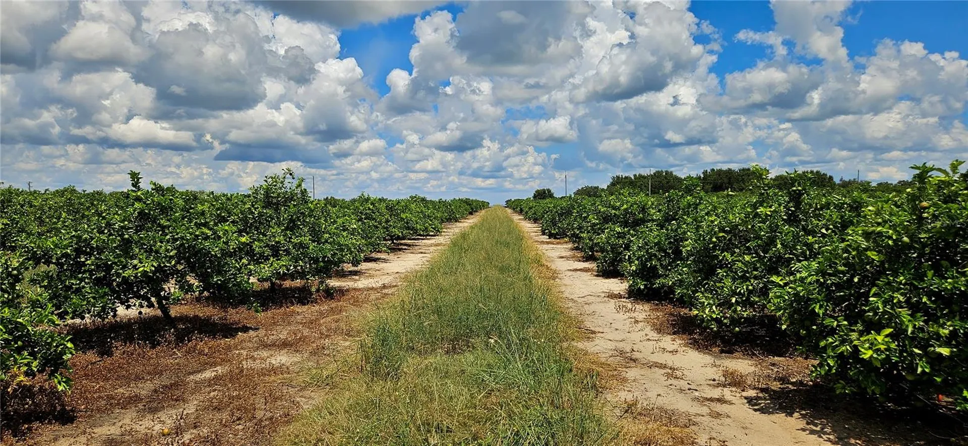 Lake Wales FL 33898