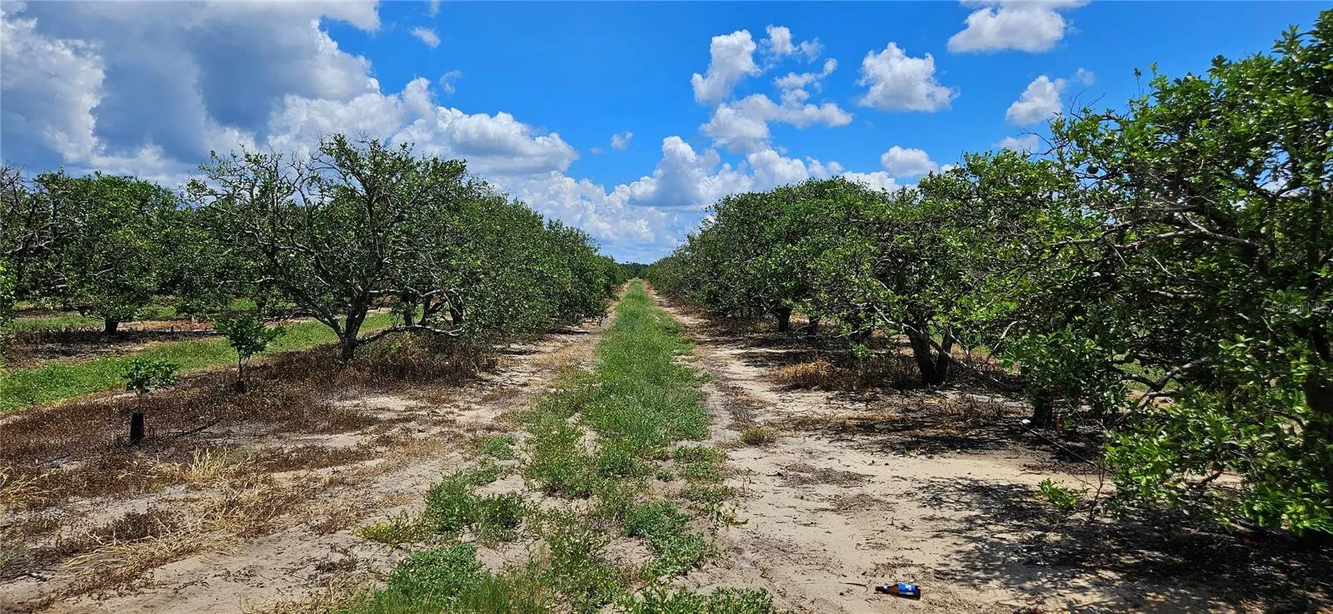 Lake Wales FL 33898