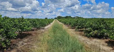 Lake Wales FL 33898