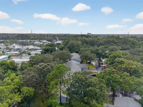 39650 Us Highway 19 N Tarpon Springs FL 34689