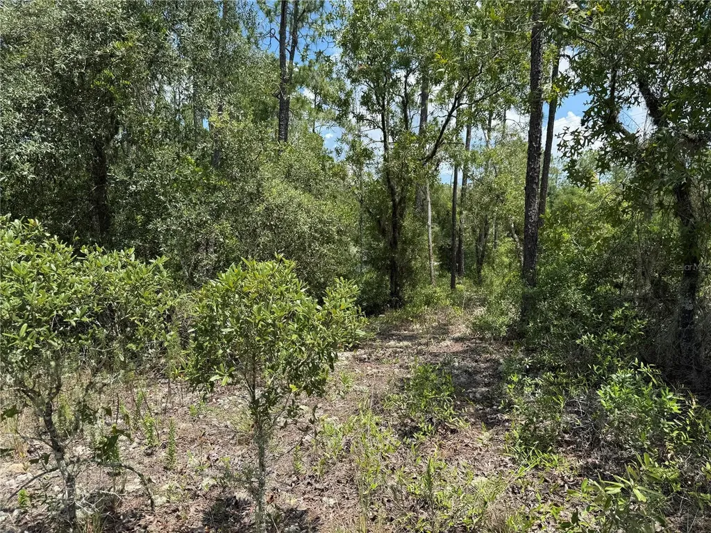 00 SW Rainbow Lakes Boulevard Dunnellon FL 34431